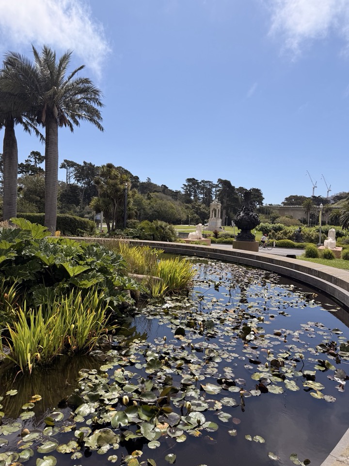 The pond outside the de Young, twice: fighting palms, sphinxes, a cyclist, and two construction cranes for attention, then composing itself the moment you move a few feet.